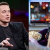 Elon Musk Launches X TV App for Smart TVs